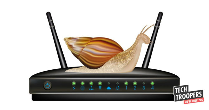 Snall on router